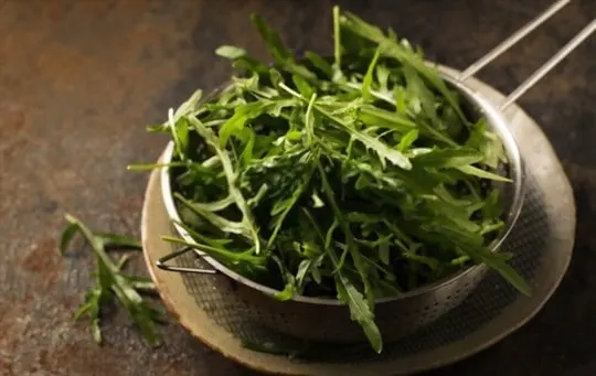 crispy arugula salad