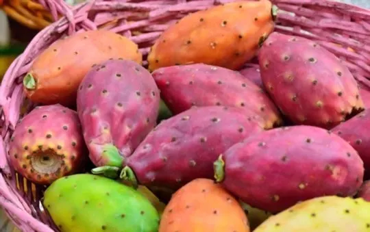 how to cook prickly pear