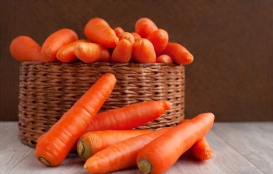 how to prepare and cook carrots