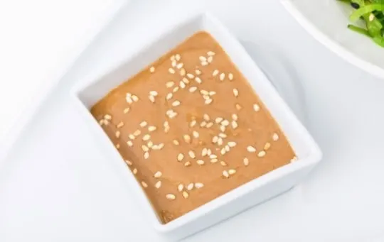 peanut dipping sauce