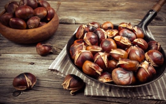 what are chestnuts