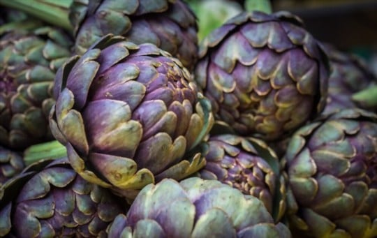 what do artichokes taste like