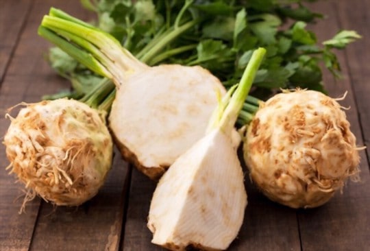 what does celeriac taste like