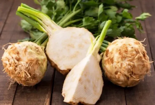 what does celeriac taste like