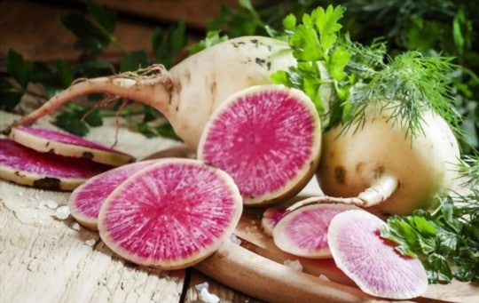 what does watermelon radish taste like