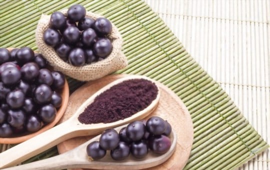 what is acai berry