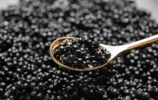 what is caviar