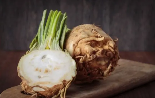 what is celeriac