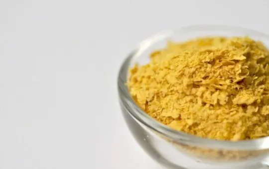 what is nutritional yeast