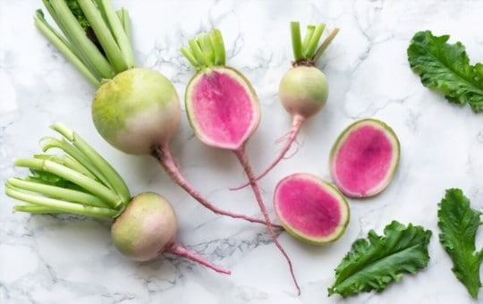 what is watermelon radish