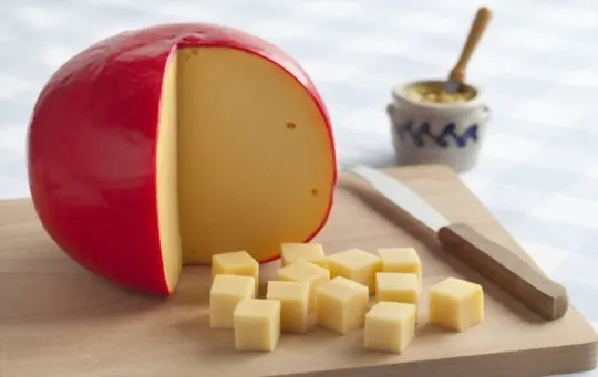 edam cheese