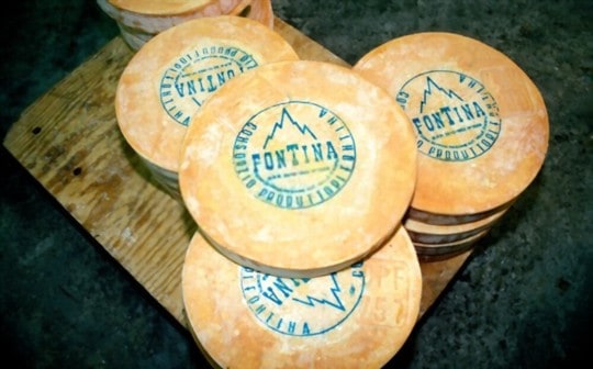 fontina cheese