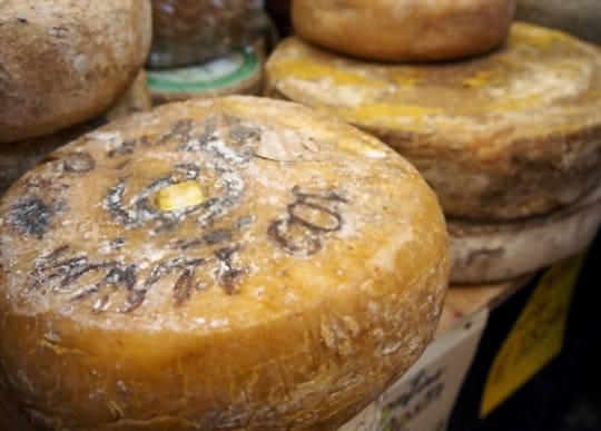 fontina cheese