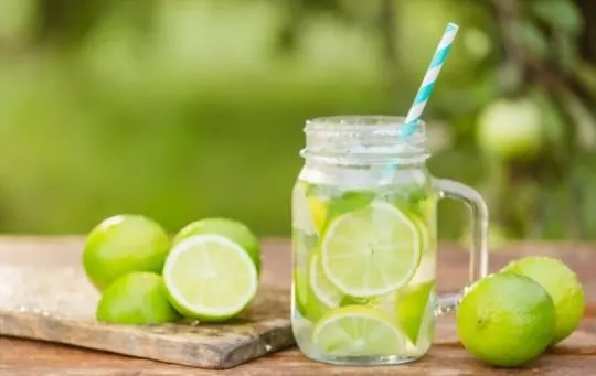 lime juice