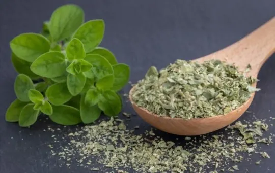 marjoram