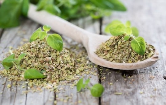 oregano