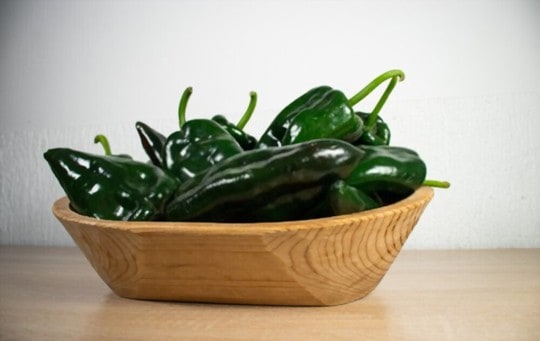 poblano pepper