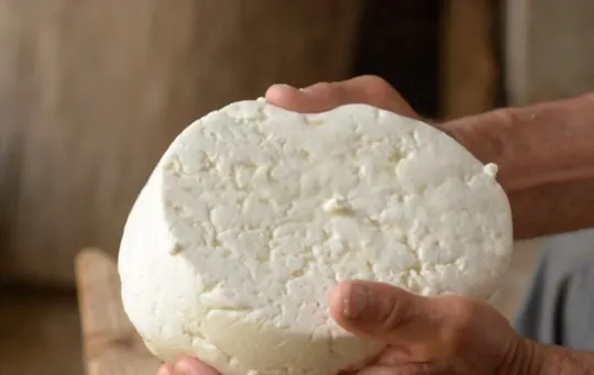 queso fresco