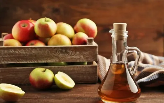 apple cider vinegar