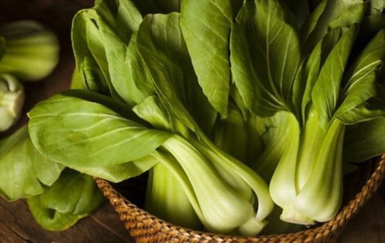 baby bok choy salad