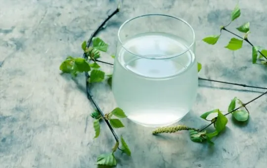 birch water