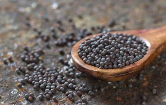 brown mustard seeds