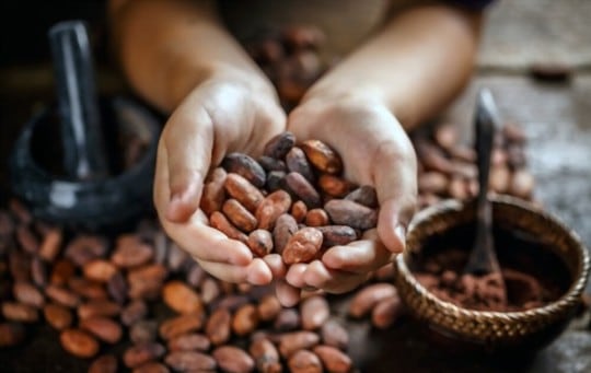 cacao beans