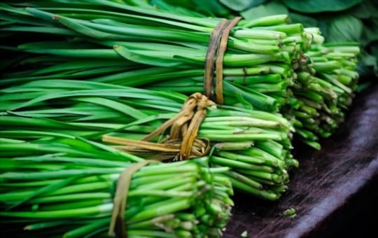 chinese leek