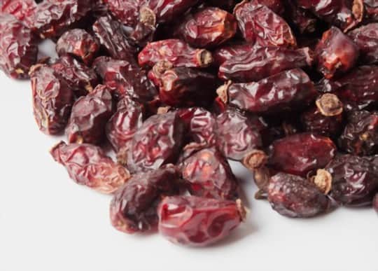 dried cranberries