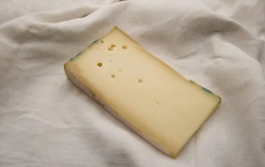 fontina cheese