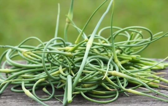 garlic scapes