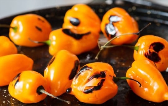 habanero peppers