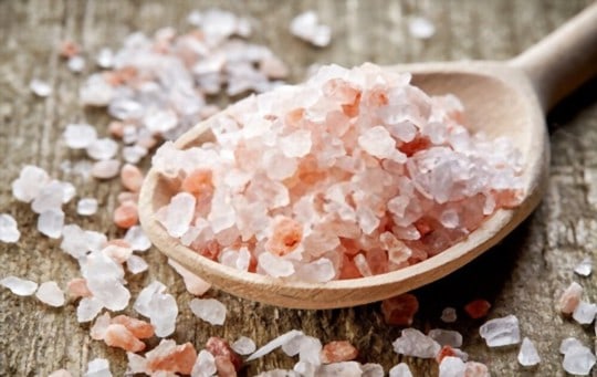 himalayan salt