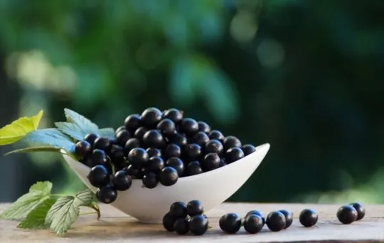 how to prepare and cook black currants