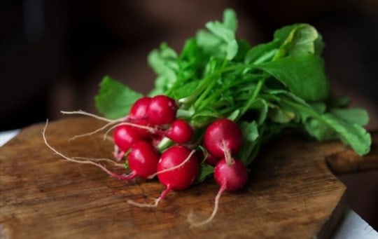 red radish