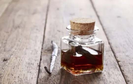 vanilla extract