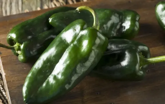 what are poblano peppers