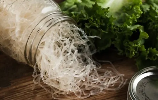 what do kelp noodles taste like