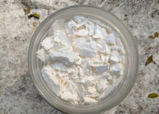 arrowroot powder