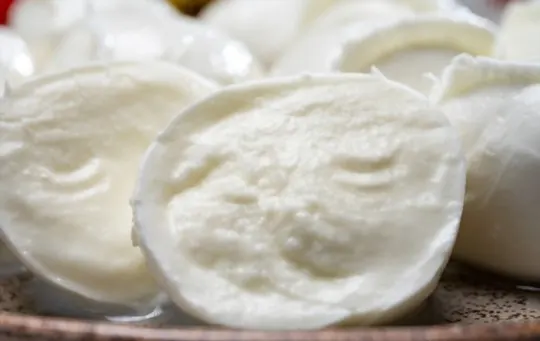 how to cook and serve buffalo mozzarella
