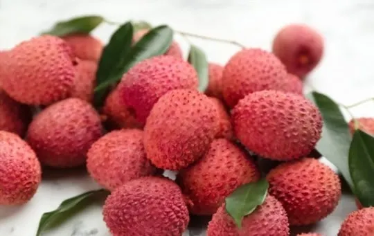 how to cook and serve lychee fruit