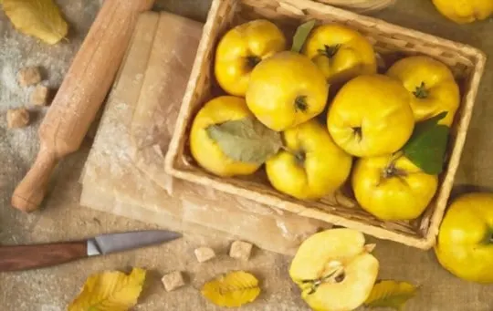 how to cook and serve quince