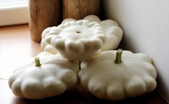 pattypan squash