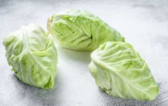 pointed cabbage