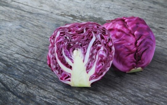 red cabbage