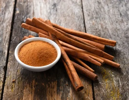 what does cinnamon taste like