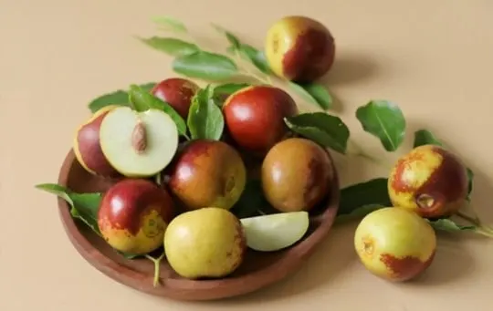 Unveiling the Taste: What Does Jujube Fruit Taste Like?