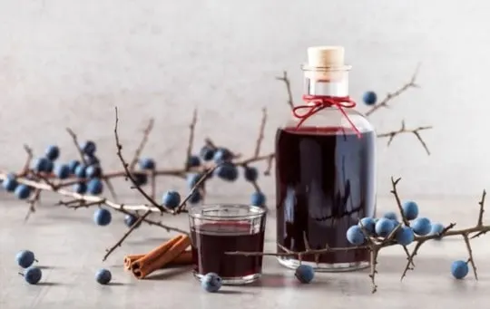 what does sloe gin taste like