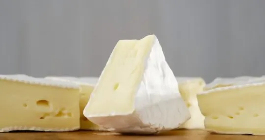 what is camembert cheese