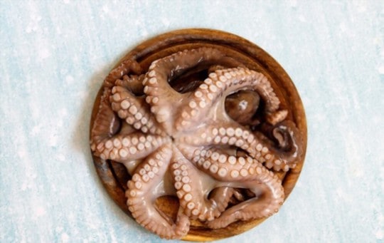 what is octopus